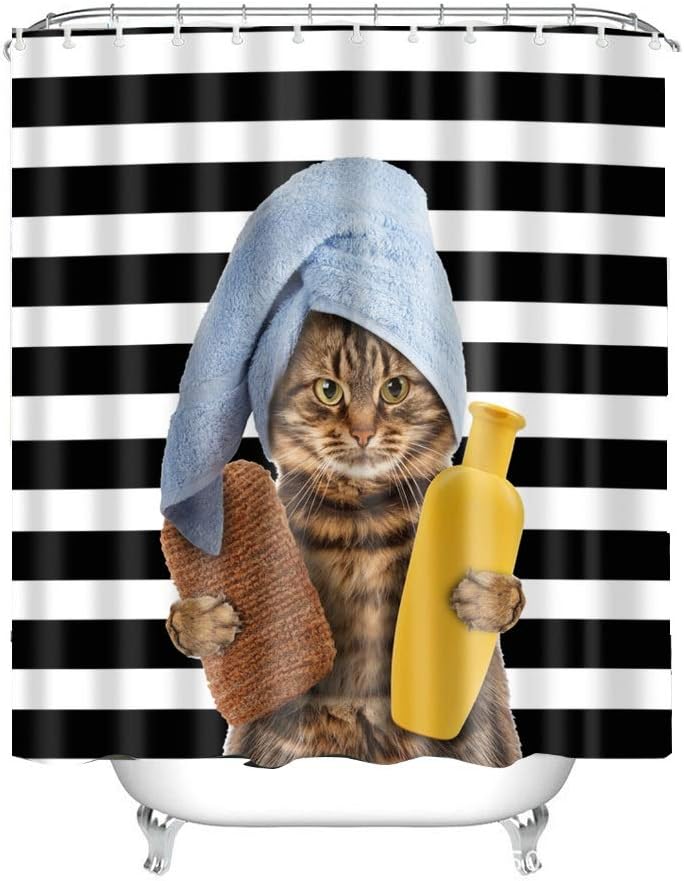 611bY0Br3tL._AC_SL1000_