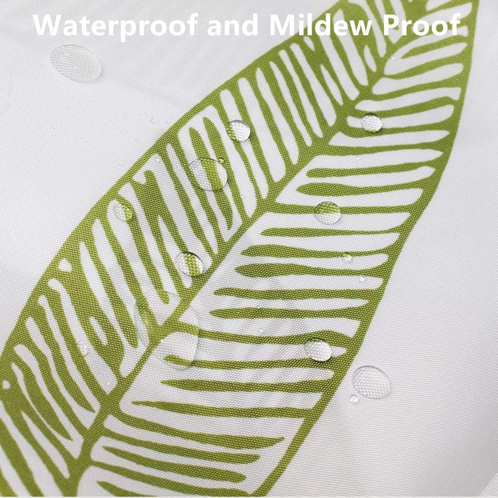 71Tjv8H0Q3L._AC_SL1000_