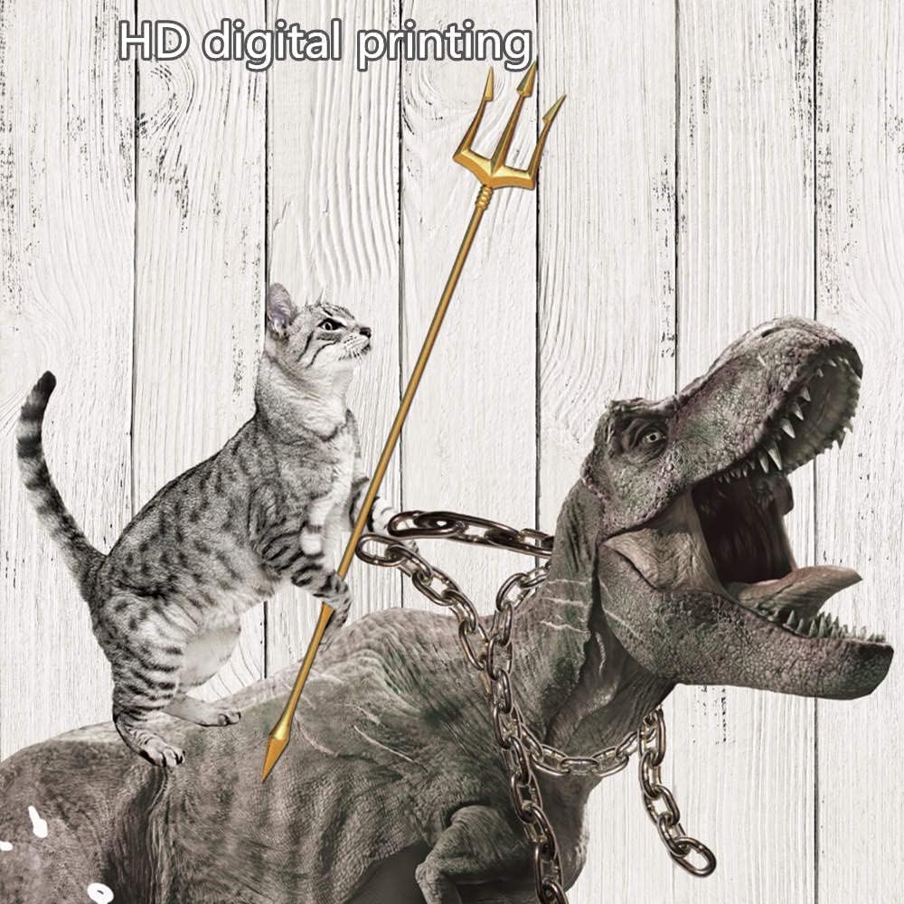 71dwpaEvqDL._AC_SL1000_