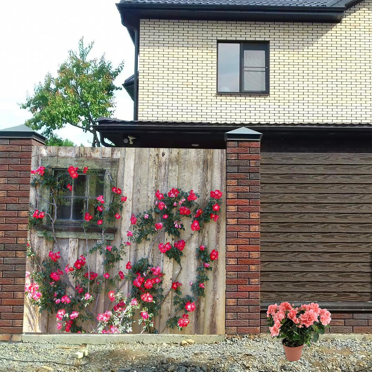 81C+t5xa8oL._AC_SL1500_